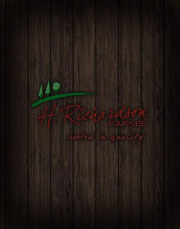 Canaan Fir Transplant 8-16" (20-40cm)